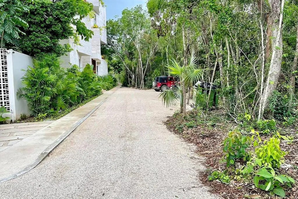 The Jungle complex experience Tulum Studio 525