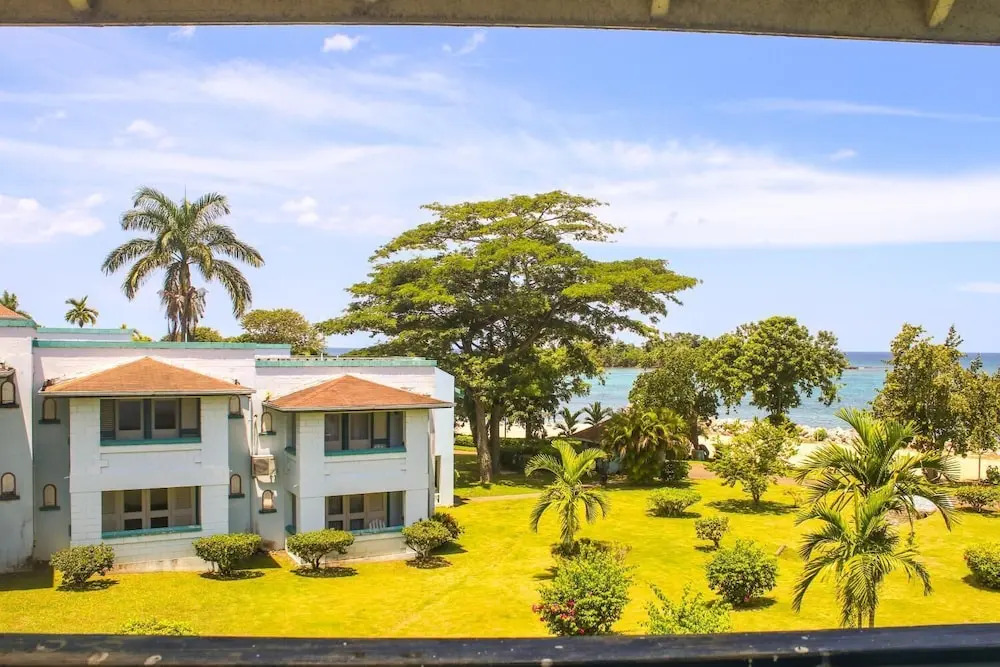 Negril Studio Terez