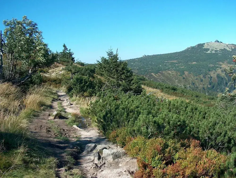 penzion Podlesí