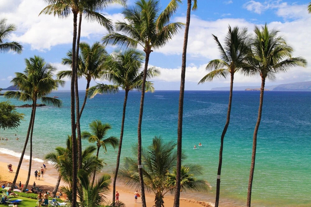 Kamaole Nalu #502 by Ali'i Resorts