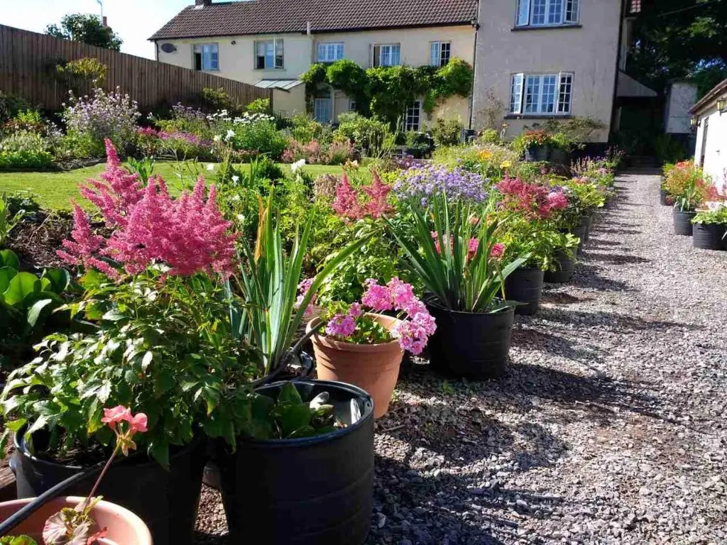 Brambles Bed and Breakfast