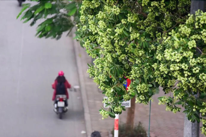 ZO Hotels Han Thuyen