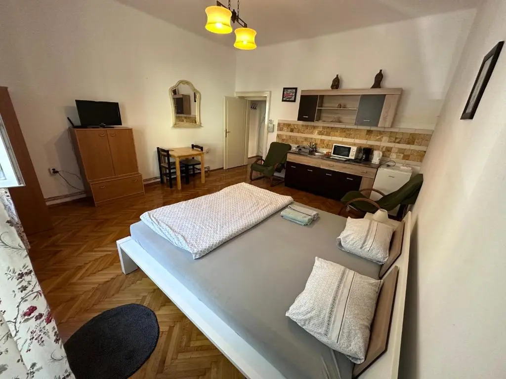 Apartament 1 Room Center