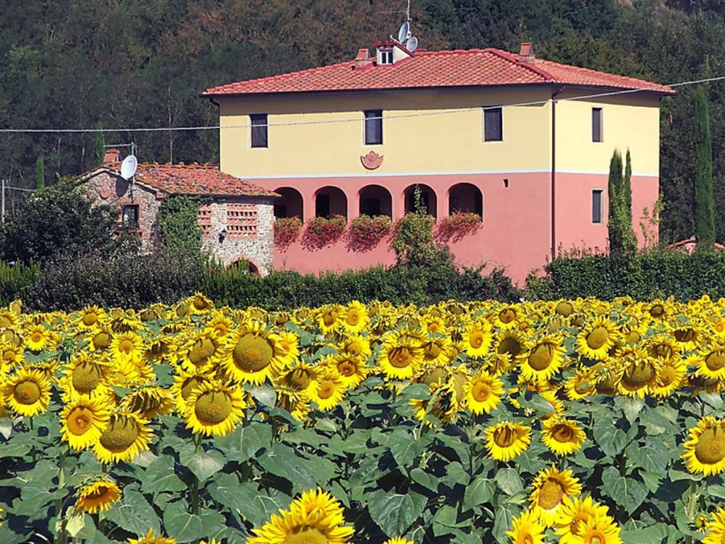 House Tara San Giustino Valdarno