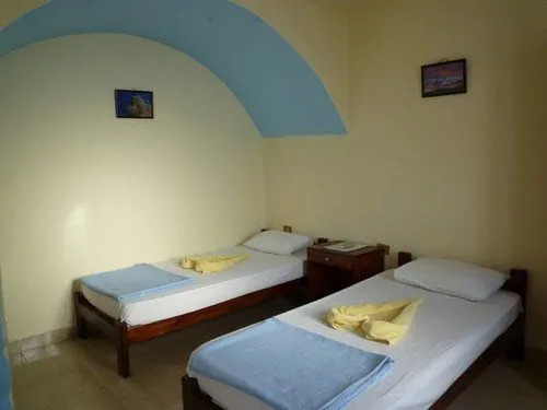 Dolphin Camp