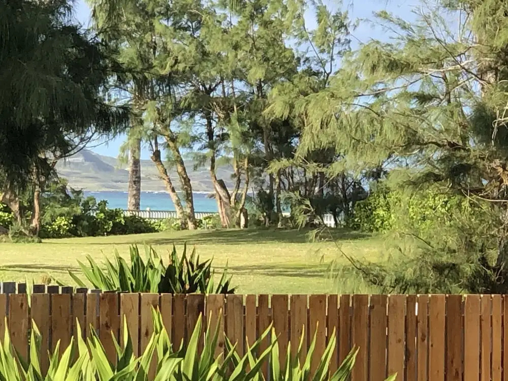 Gorgeous Renovated 1937 Plantation Style Beach House 50 Steps to the Center of the Beach home