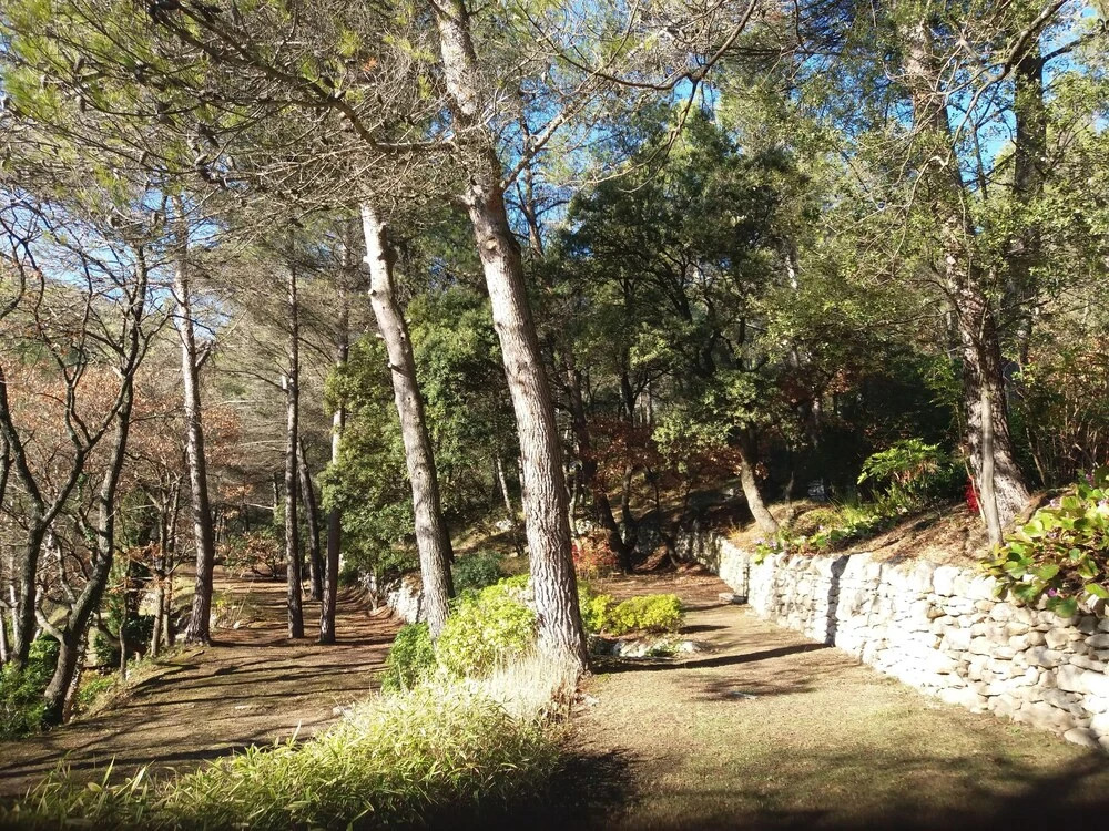 Luberon's Hidden Gem
