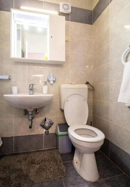 Apartment Branka