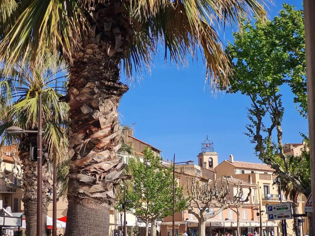 Appartement Sainte-Maxime, 1 pièce, 4 personnes - FR-1-226-303