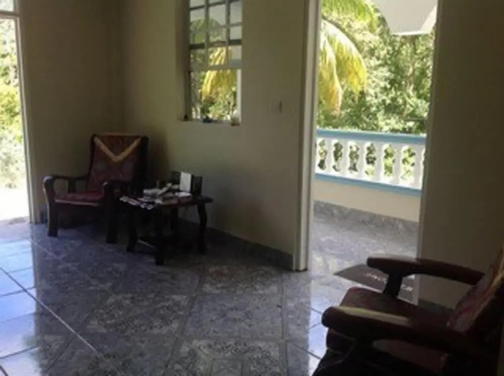 The Jungle Room