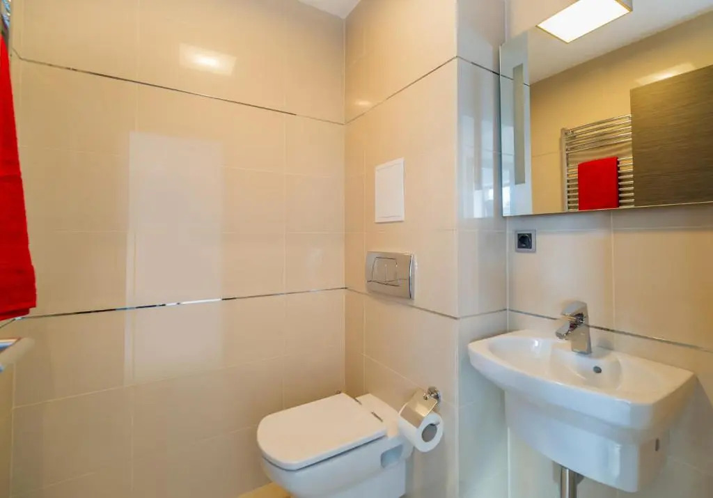 Timber view apartment Silver Mountain Poiana Brasov