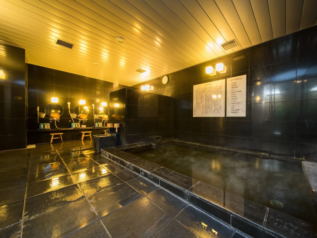 Super Hotel Premier JR Nara Eki
