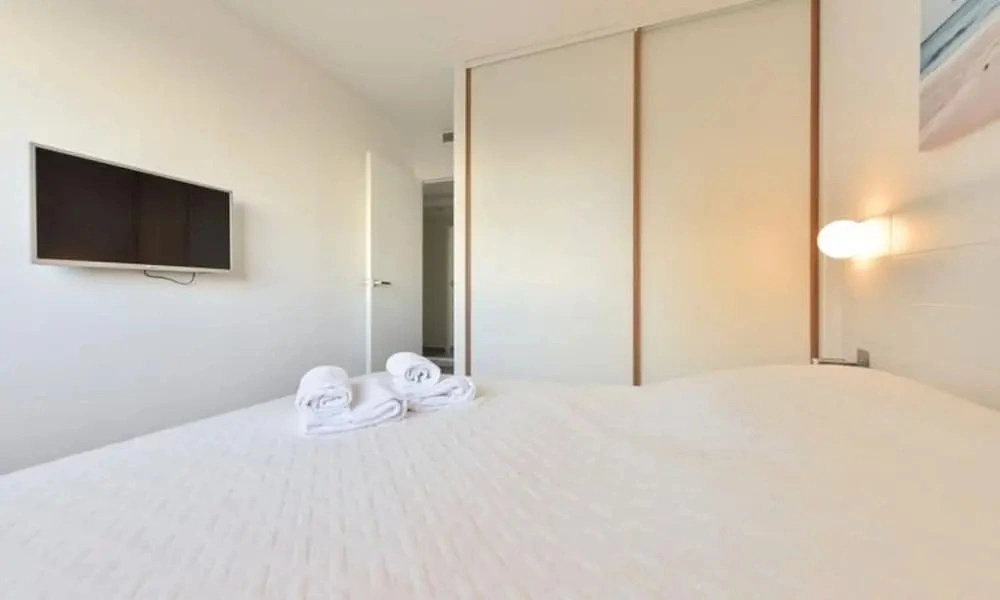 Apartment in Palm Beach Near Croisette