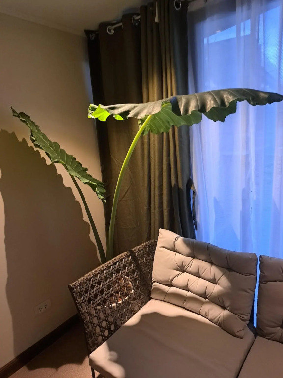 The Hub District Garden Suites