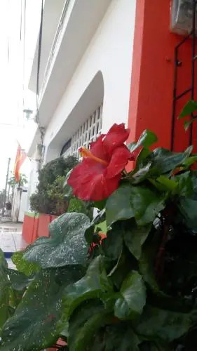 Caribbean Hostel