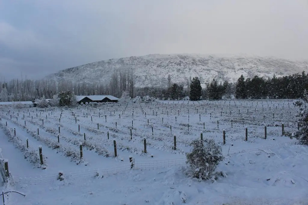 Wanaka Berry Farm and B&B