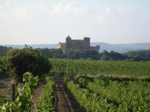 Hotel Rural L’Ocell Francoli