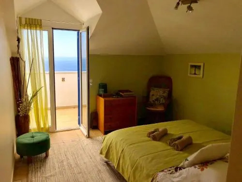 Indigo Star House