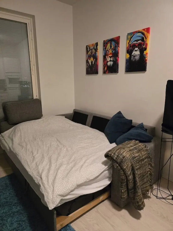 Helsinki City or Airport 16min, Convenience Place