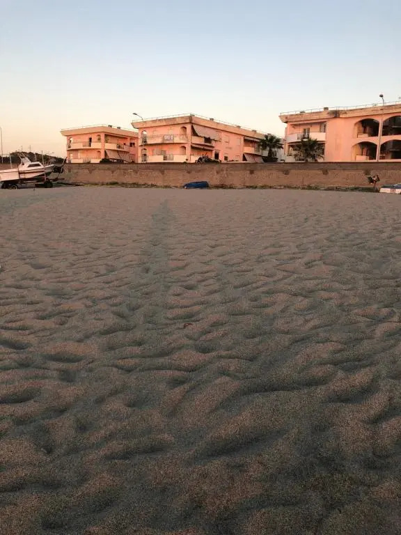 The Beach House