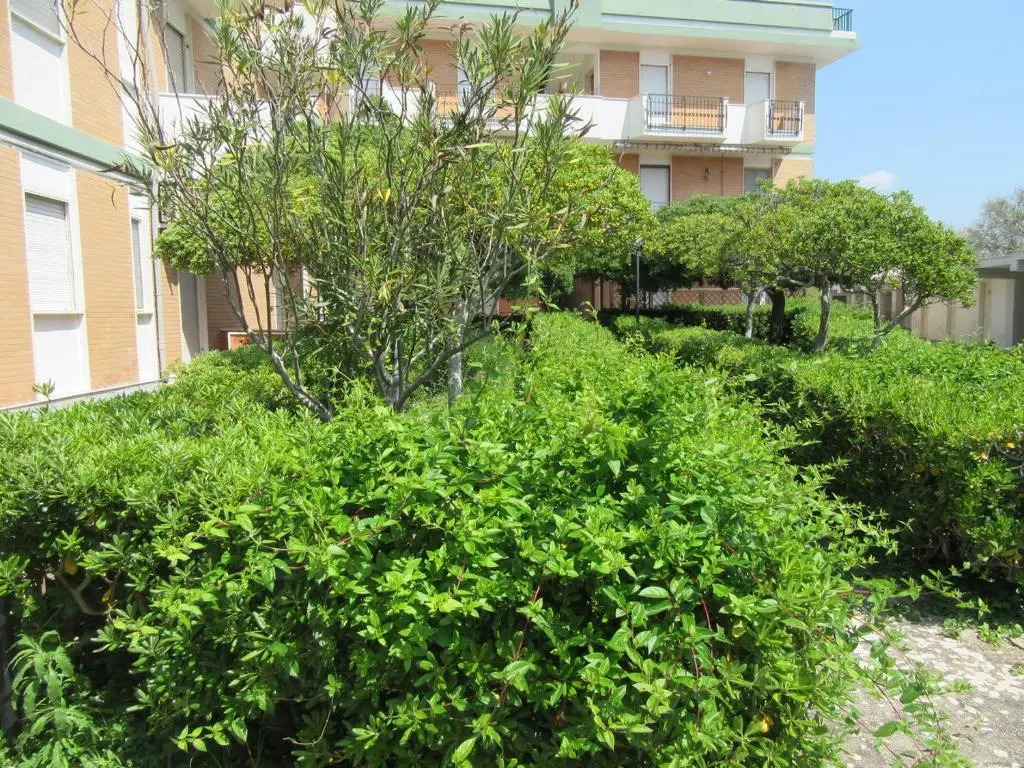 Nicoletta's House - Zona Le Dune - Porto Cesareo by Cala Salento