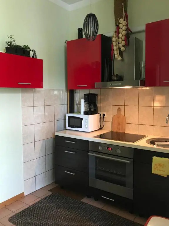 Chelsea Roosi 11 Apartment