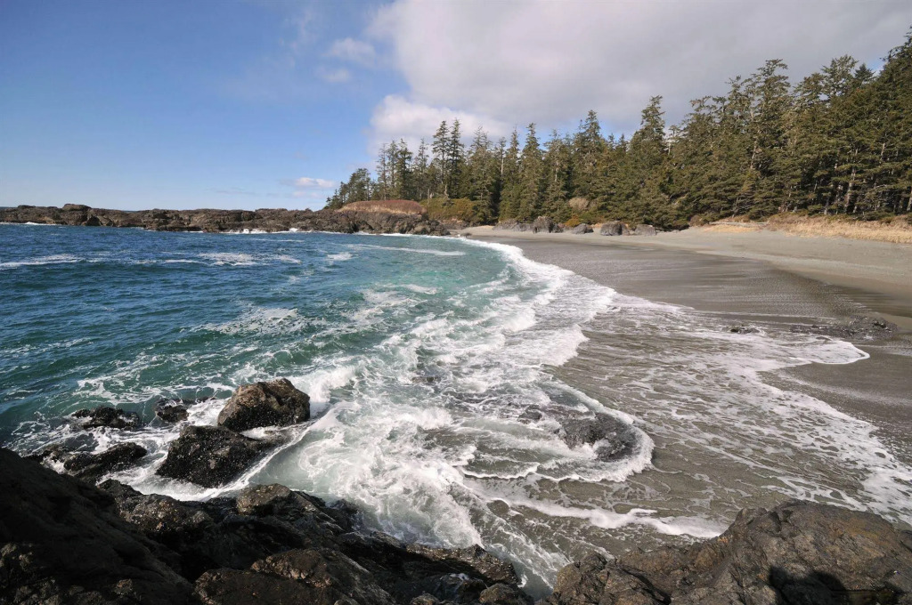 Wild Pacific Retreat