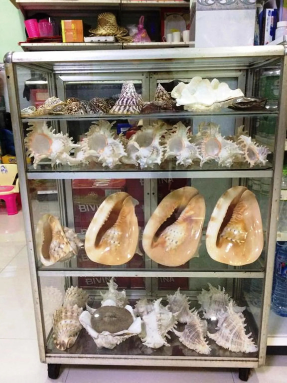 Y Thu Guesthouse