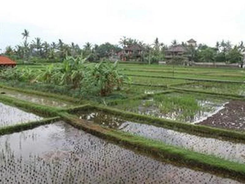 Sadguna Homestay