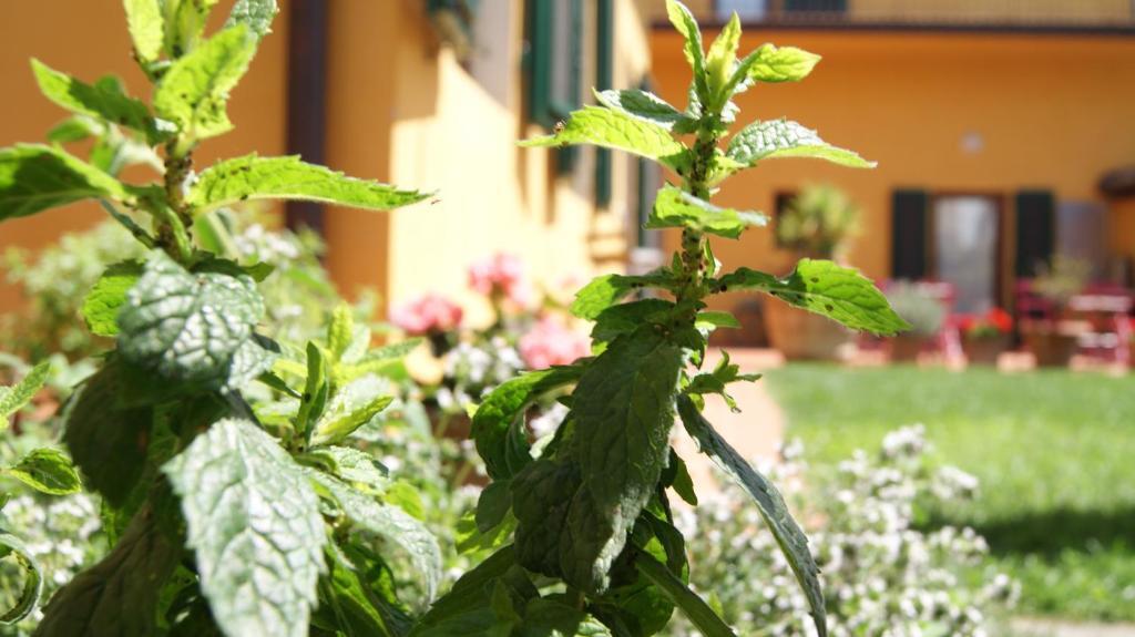 Al Canto B&B