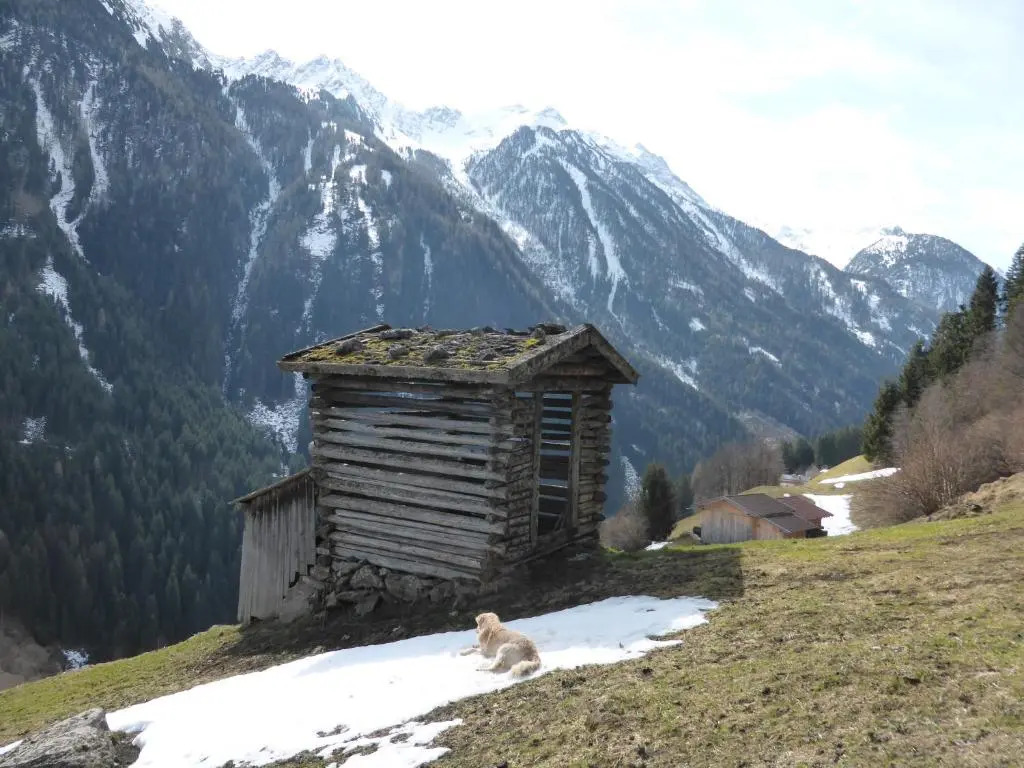 Pension Steinadler