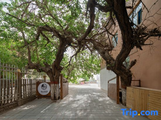 Turpan Grape Village Sand Therapy Homestay (Grape Valley Branch)
