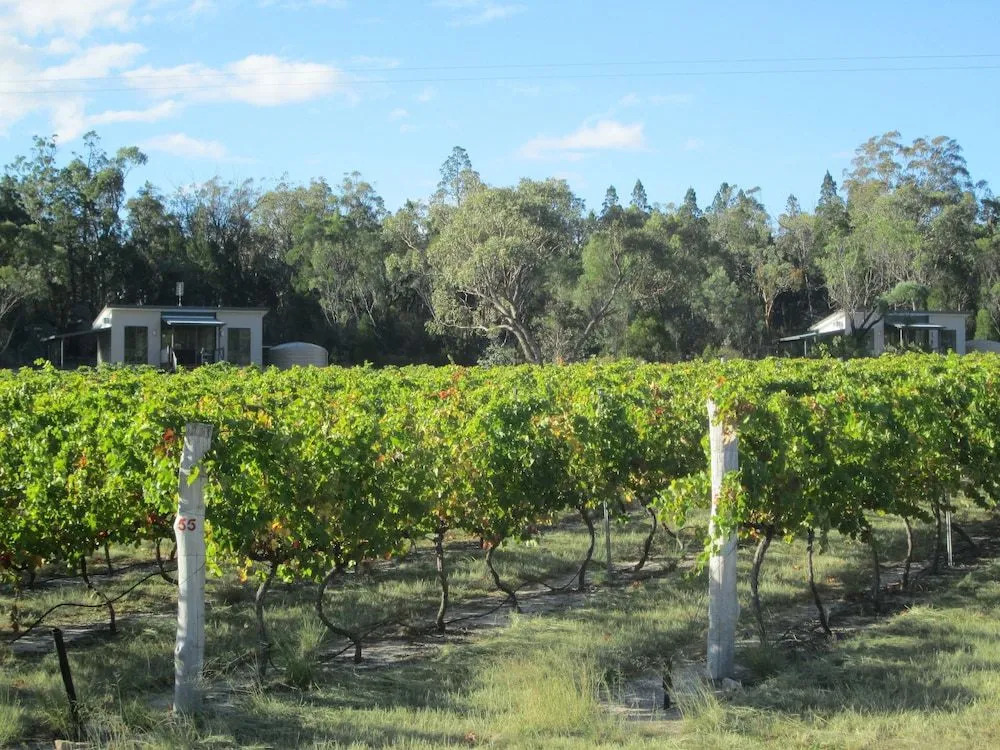 Clever Kid Wines Vineyard Cottages