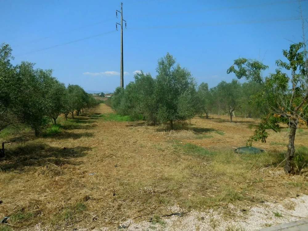 Quinta de São João