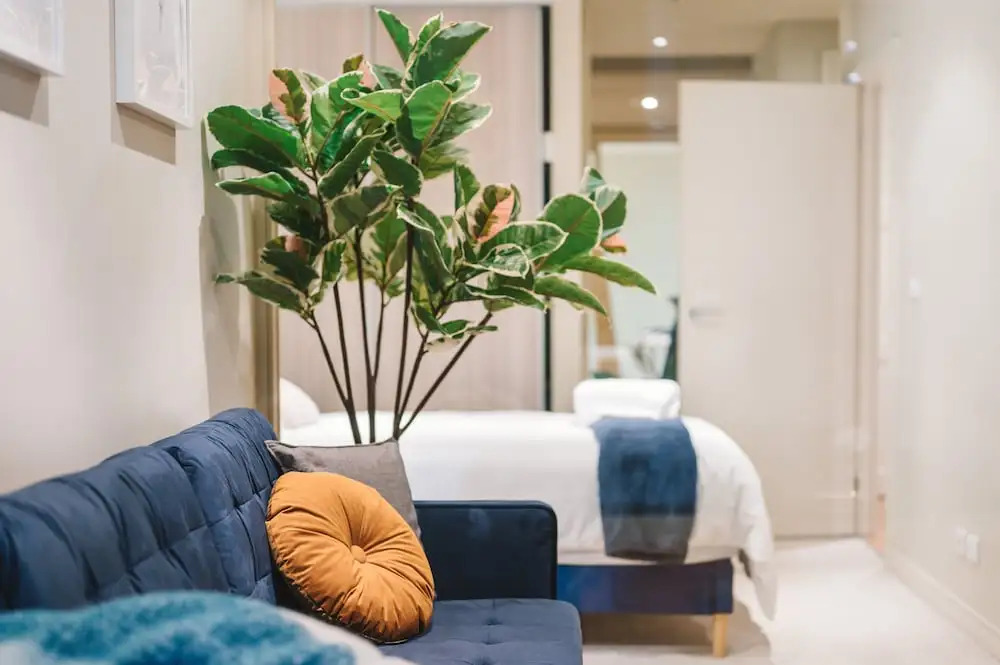Mollys Little Apartments