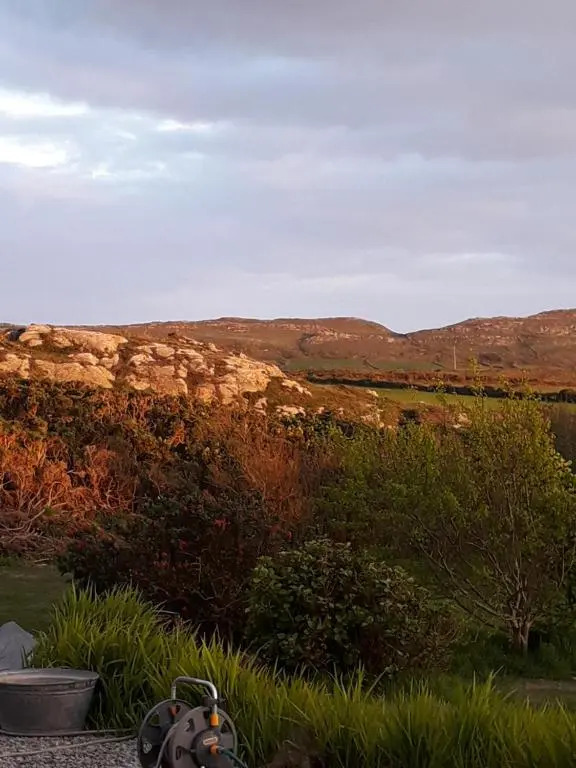 Mizen View