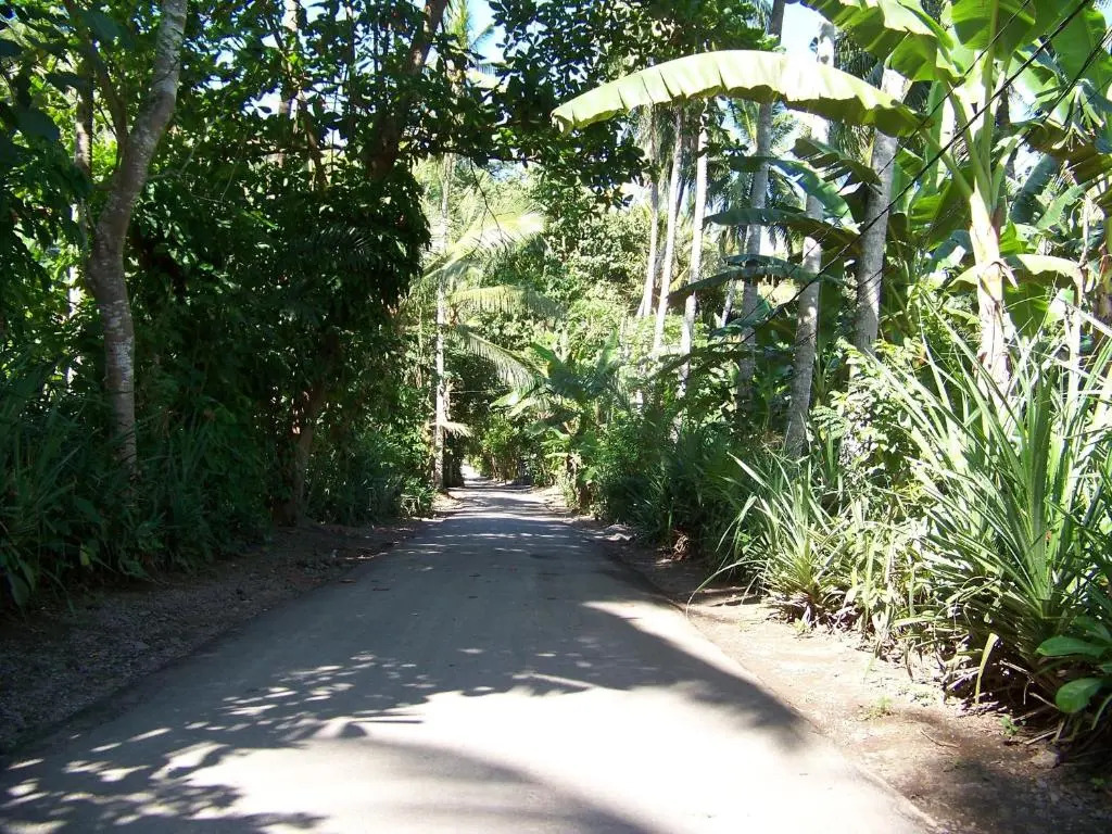 Vista Del Mar