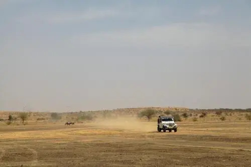 Hotel Desert