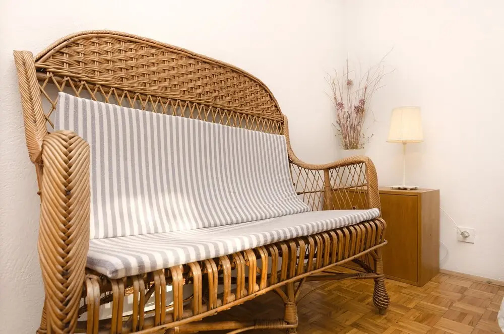 Apartment Branka
