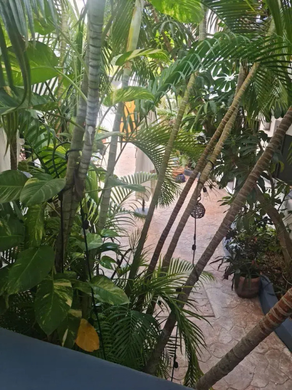 TJ Apartments, Calle 6, PDC