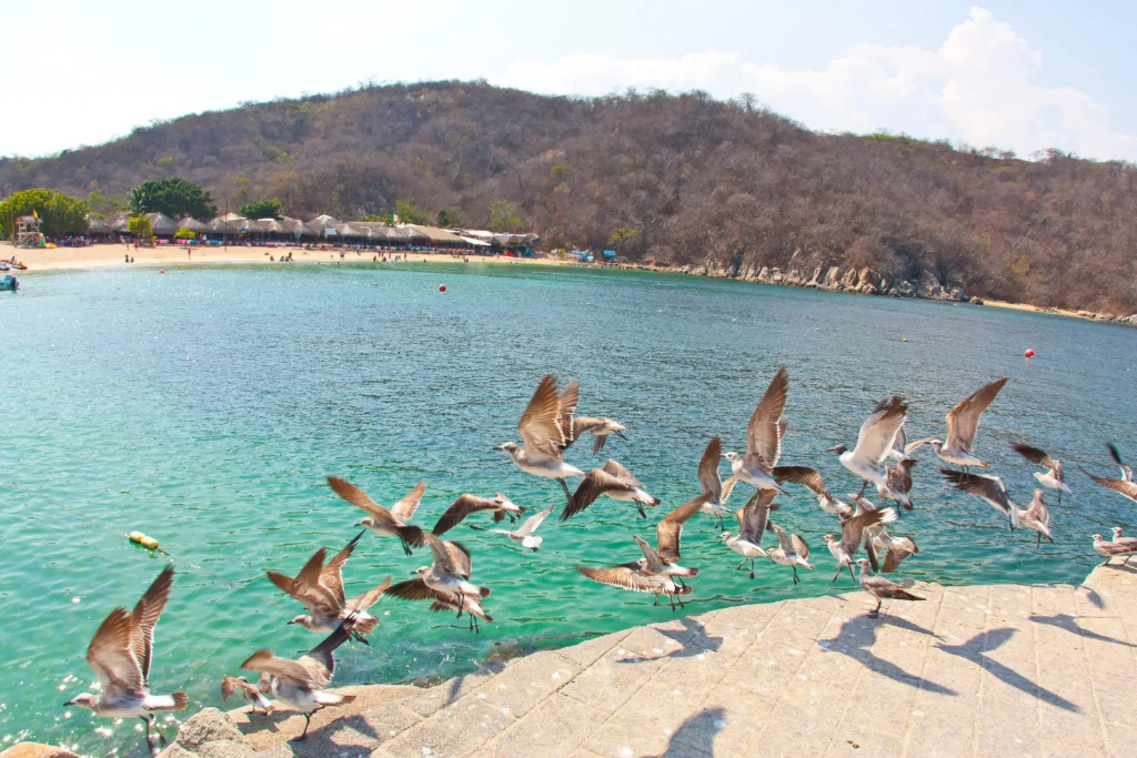 Villa Blanca Huatulco