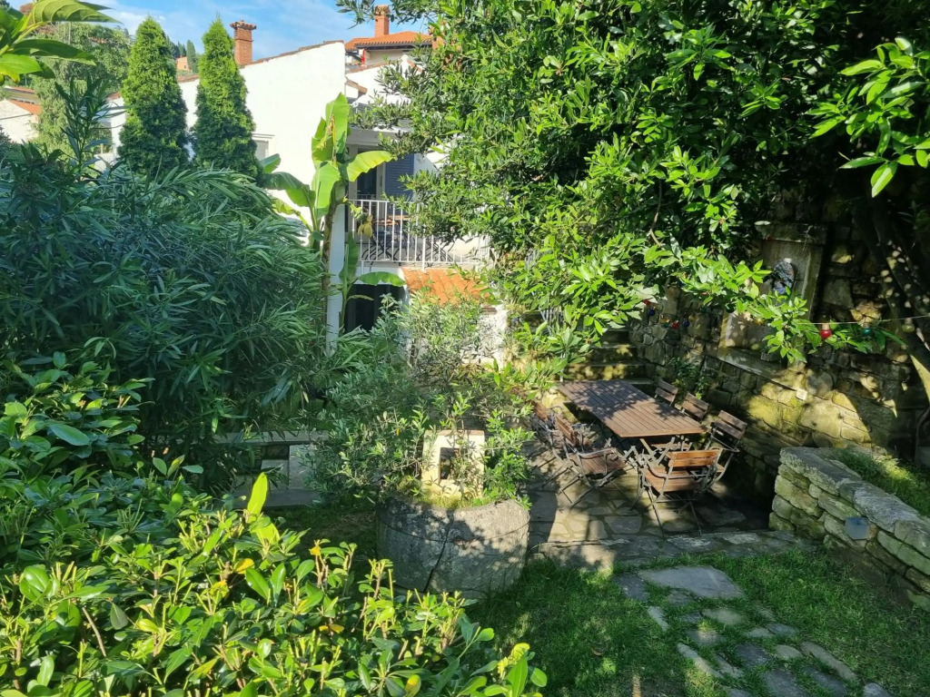 Secret garden of Piran