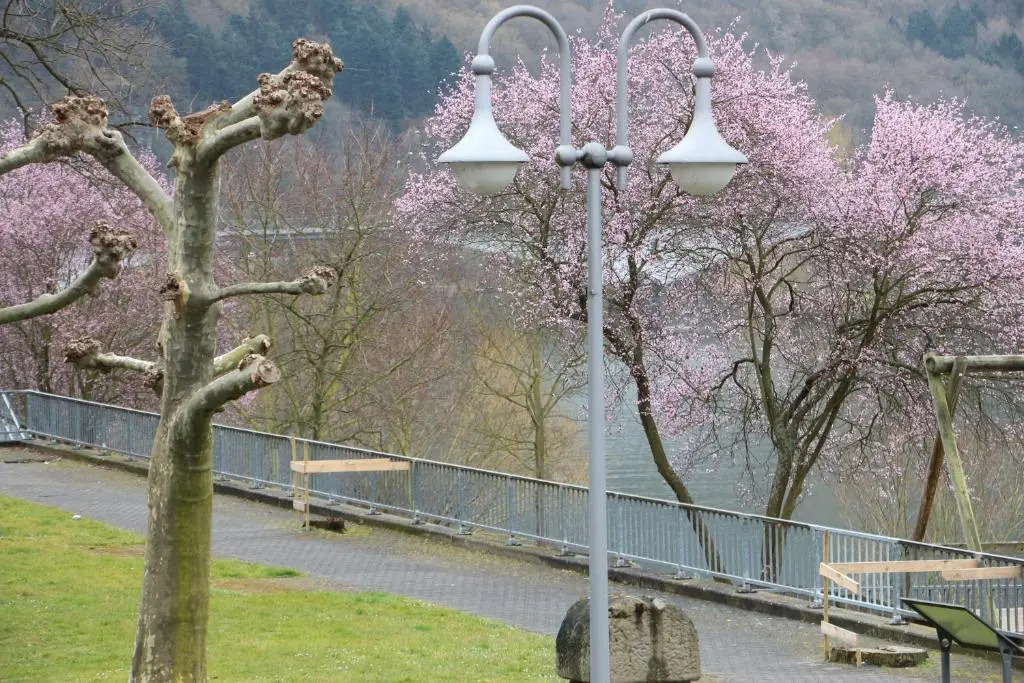 Haus Brandenburg an der Mosel