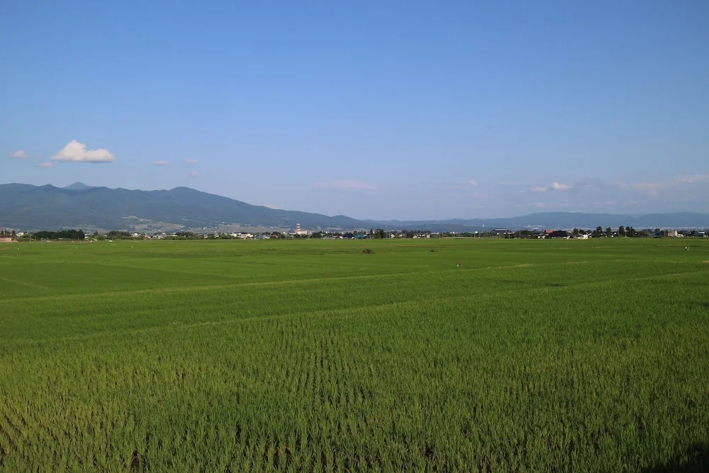 Shiguretei