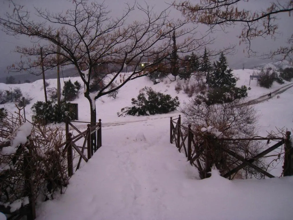 Evridiki