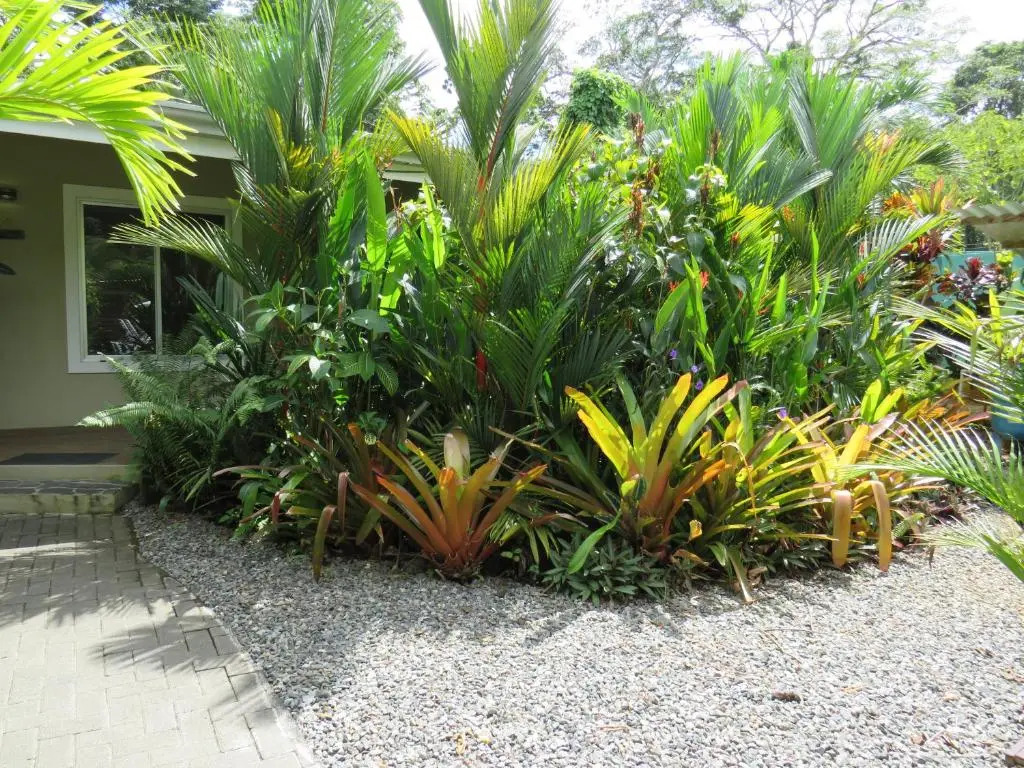 Alloro Jungle Villas