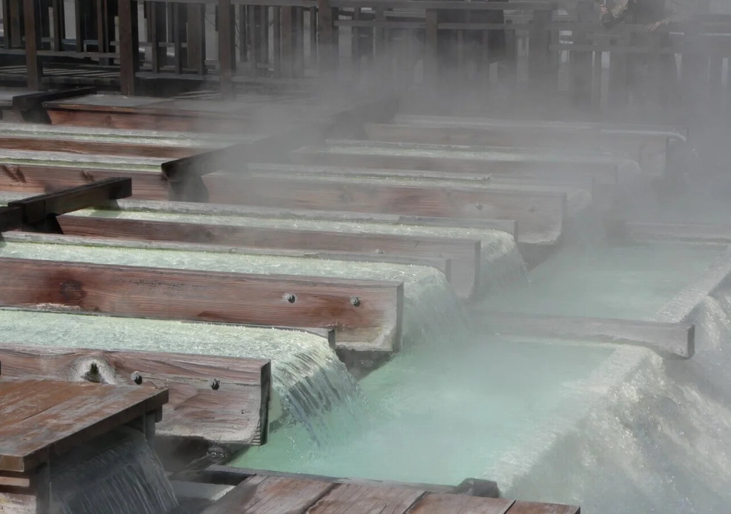 Kusatsu Green Park Palace