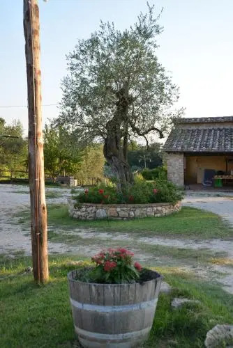 Agriturismo Podere dell Olmo
