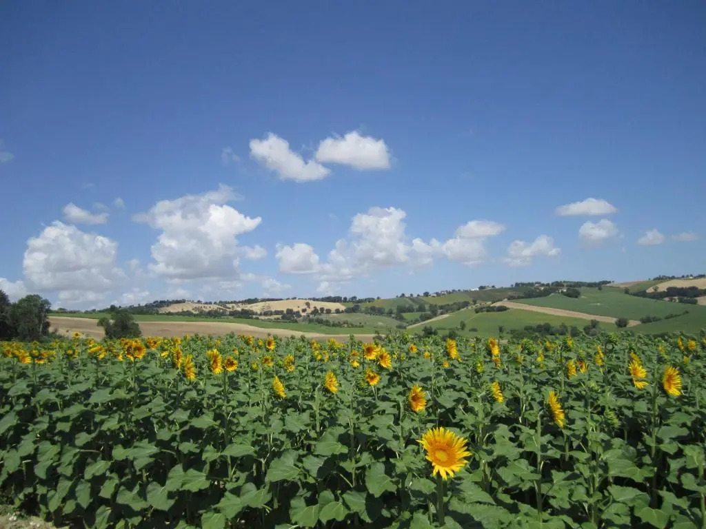Il Giardino nella Valle