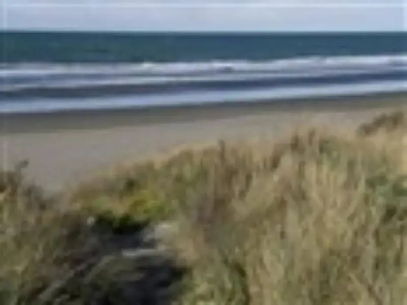 At The Beach B&B